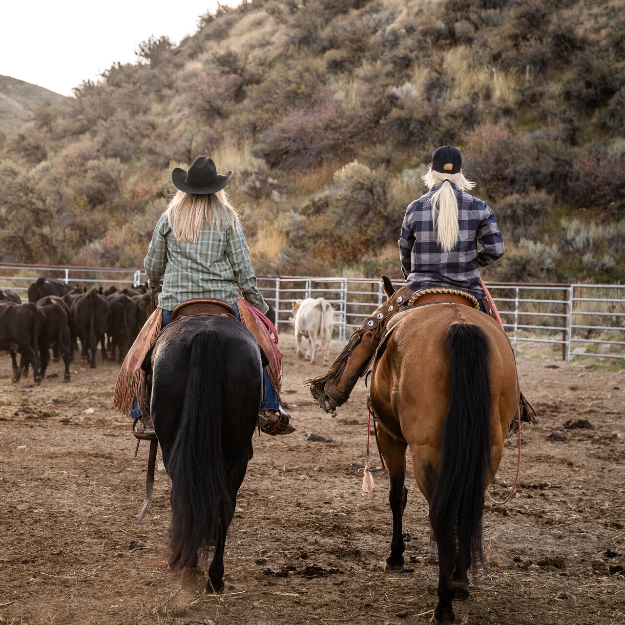 Super Cub Performance Flannel - OUTLET