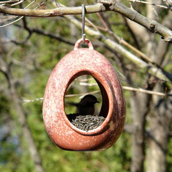 Egg Fly-Through Feeder --  Outlet Stock