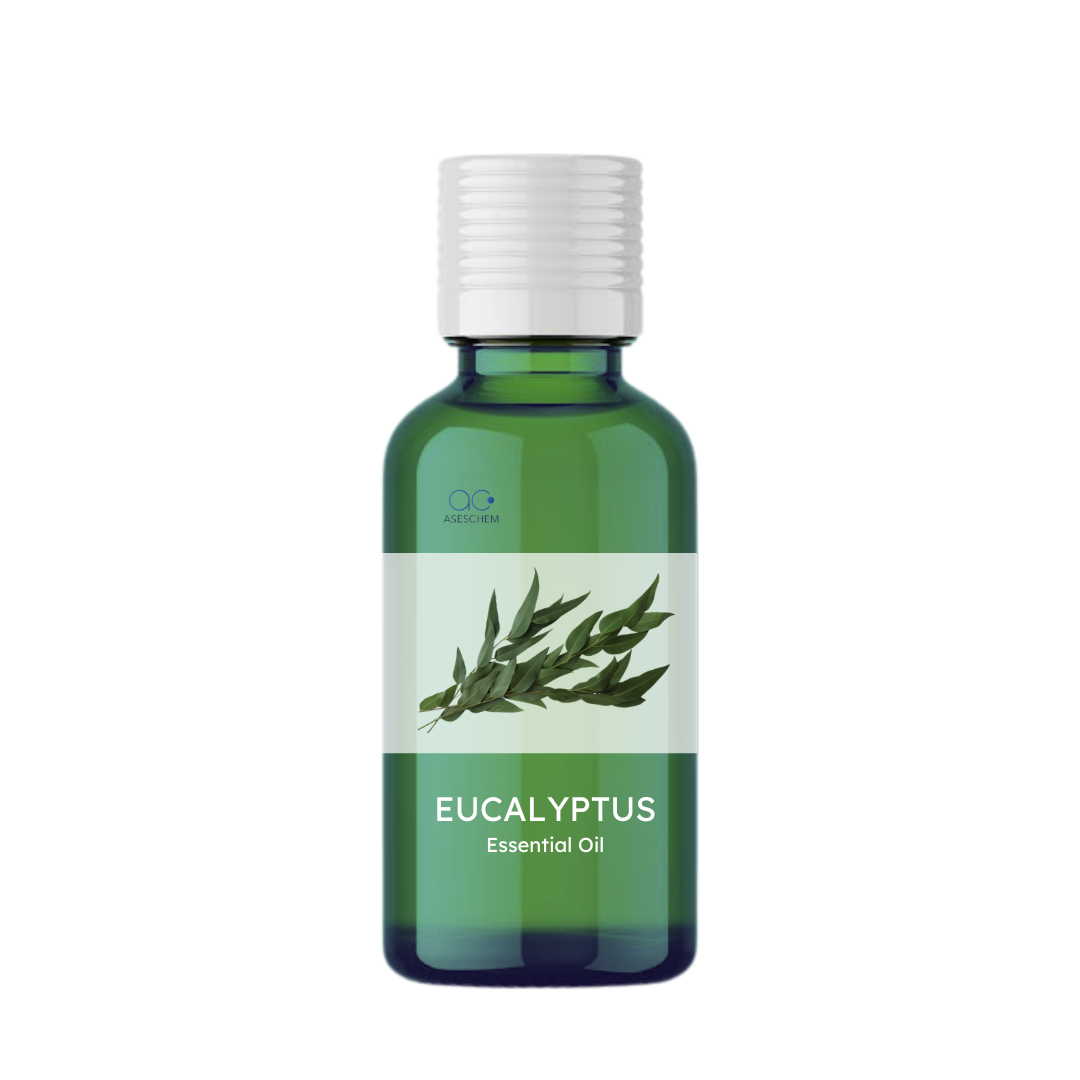 Oil Essential Eucalyptus (Cineoloe 65%) (Globulus-100% Natural)