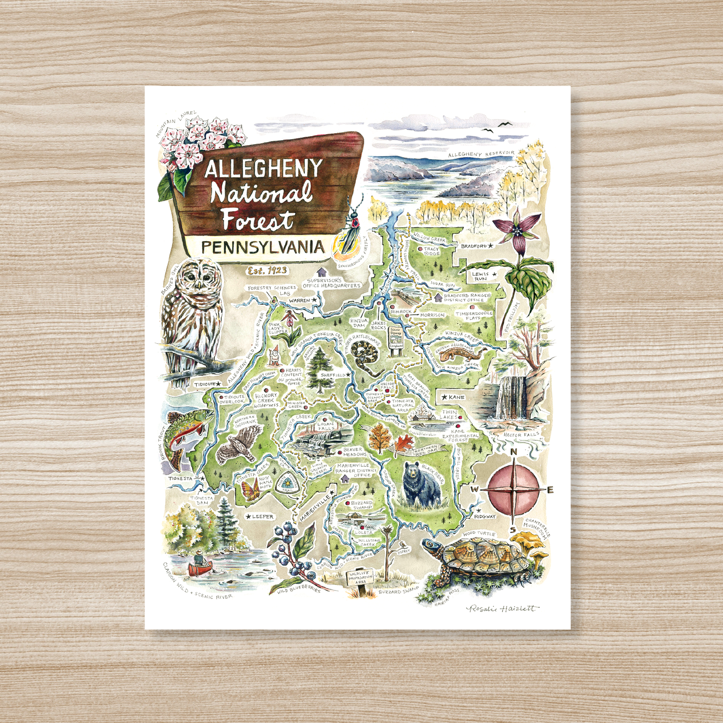 Allegheny National Forest Illustrated Map