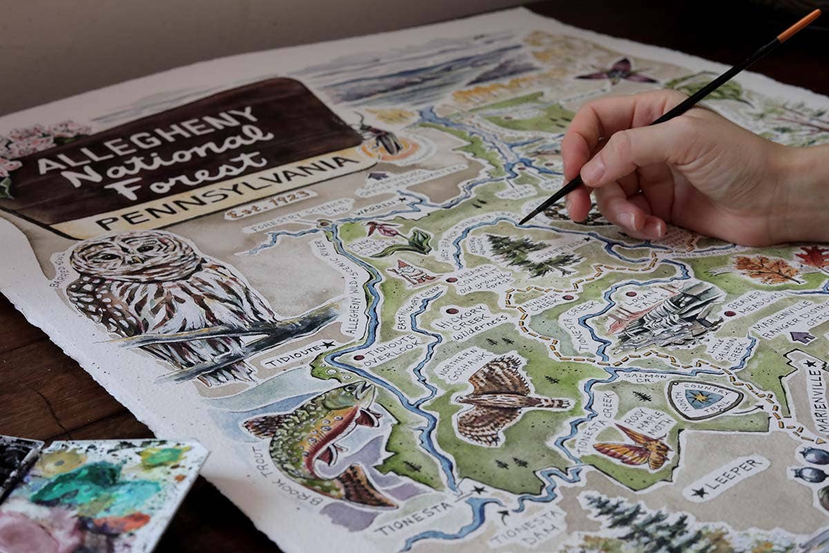 Allegheny National Forest Illustrated Map