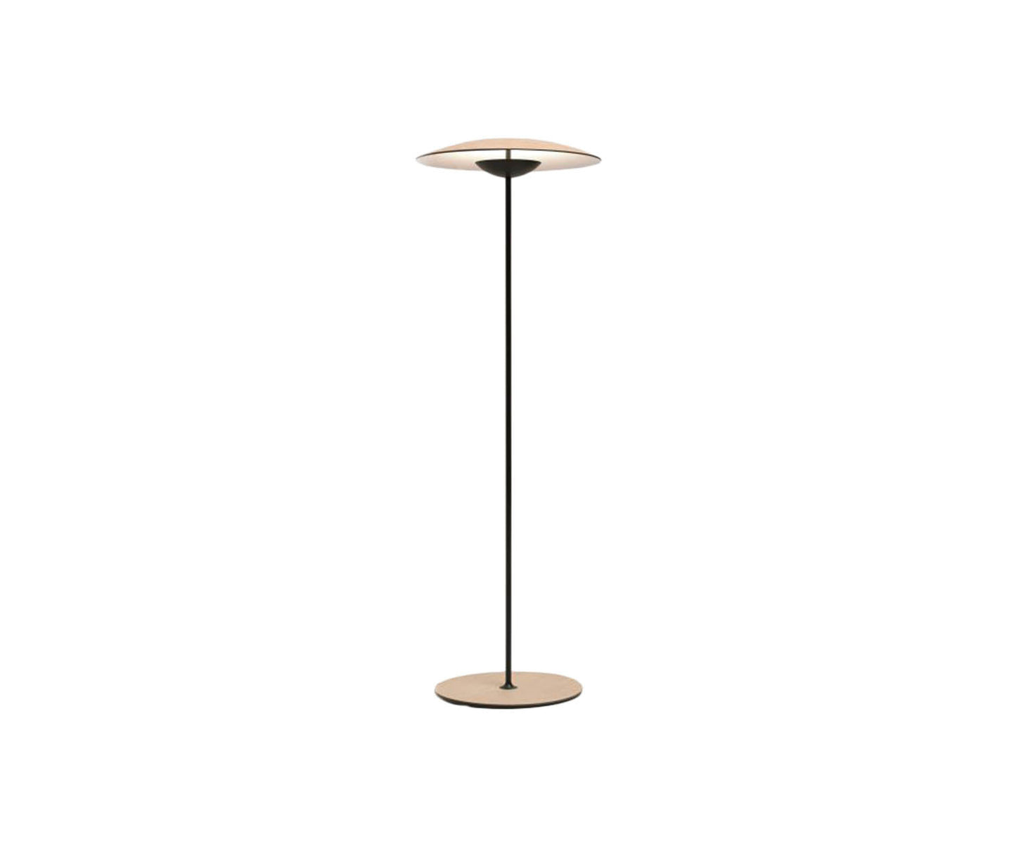 Floor Sample Ginger Floor Lamp