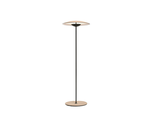 Floor Sample Ginger Floor Lamp