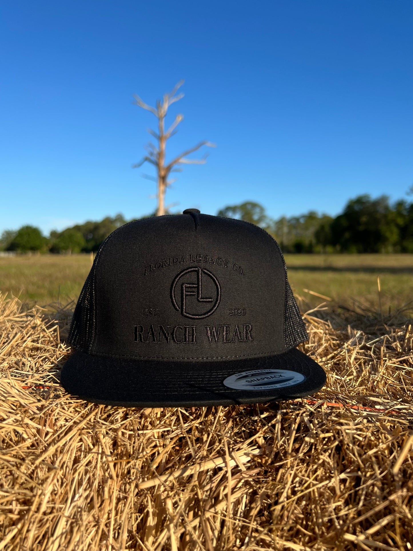 Florida Legacy Co. 100X