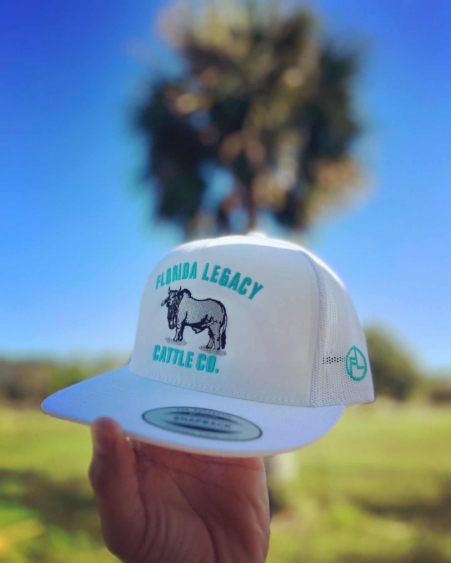 Florida Legacy Co. Brighton