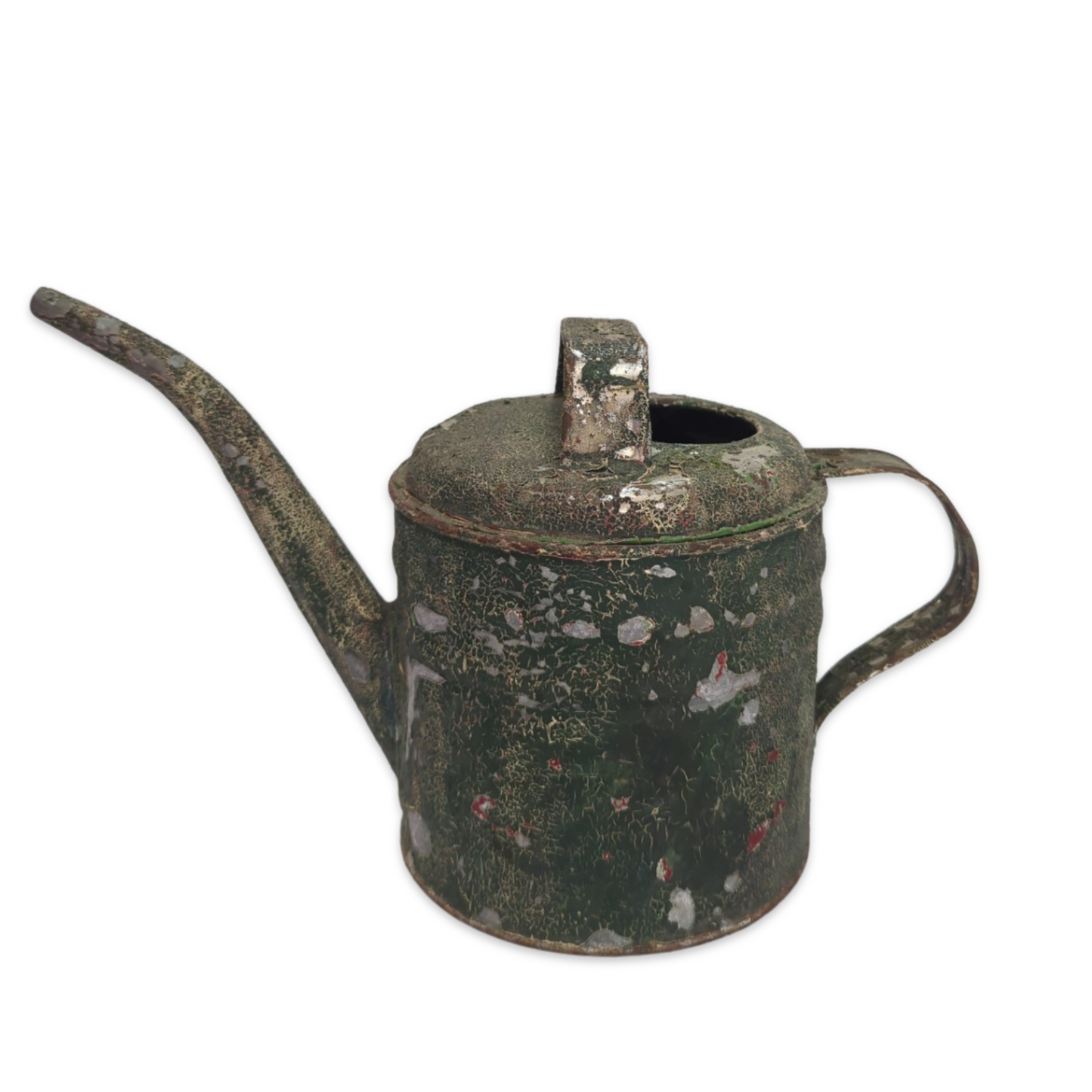Green Weathered Watering Can