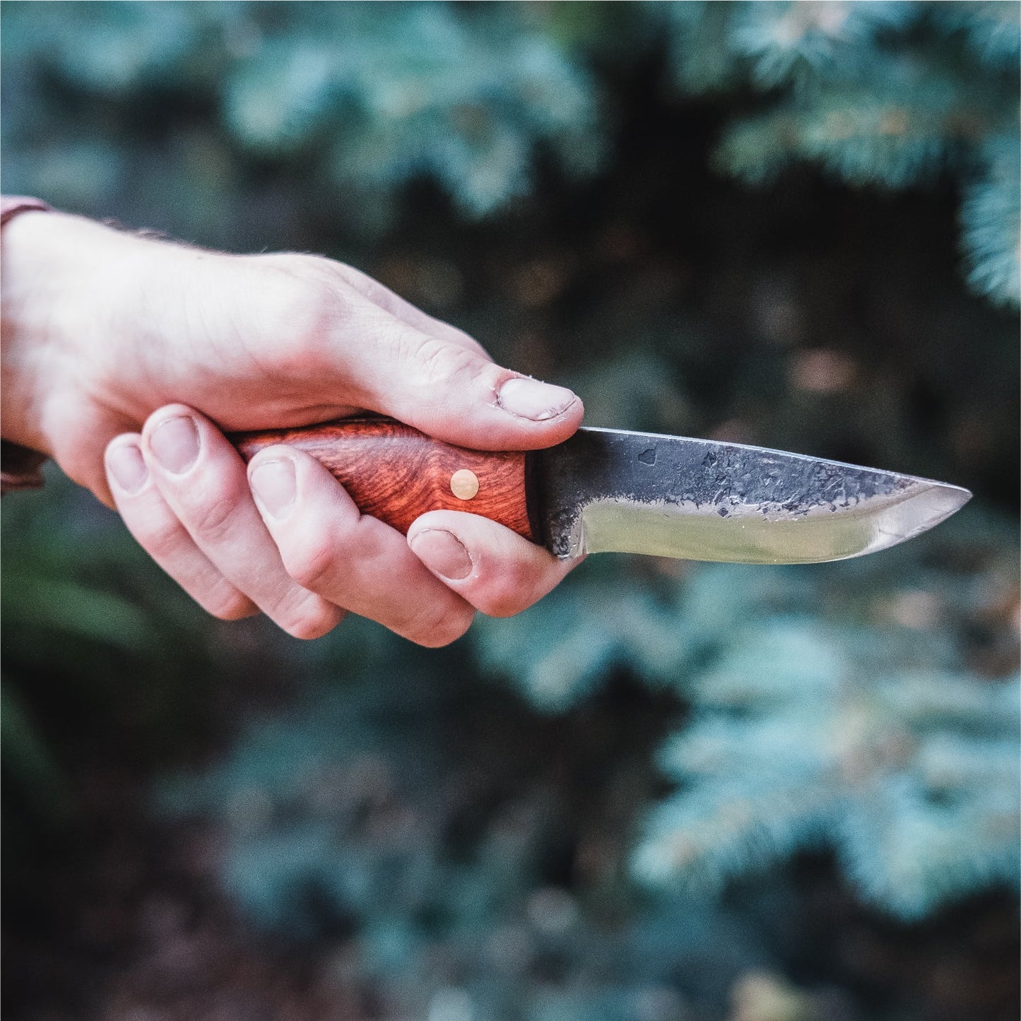 HASWELL SURVIVAL KNIFE