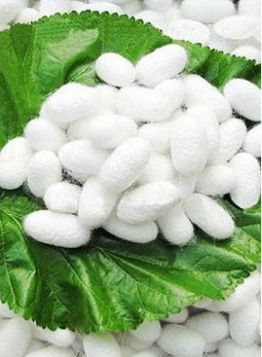 Hydrolysed Silk Protein Liquid Water Soluble(Protein 20%)/Hydrolysed Silk Amino Acid