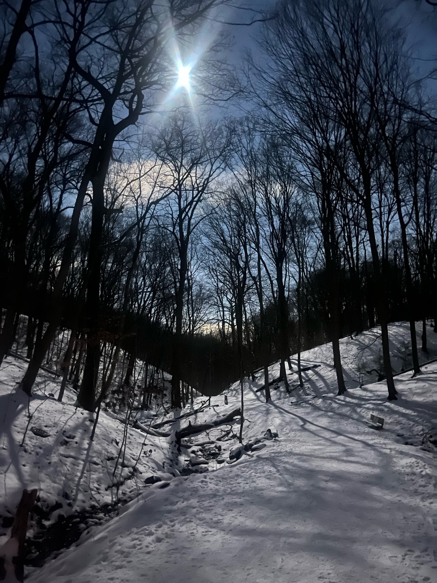 2025 Full Moon Hike Series