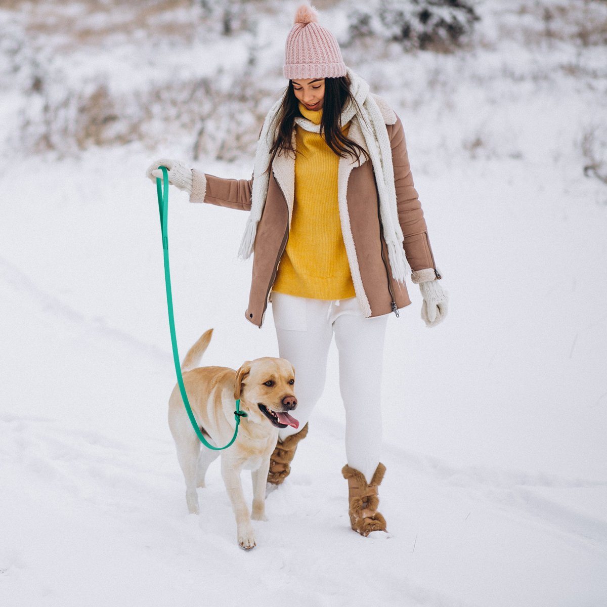 Dogline Viper Biothane Long Line 10 ft Lead with Brass Hardware