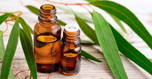 Oil Essential Eucalyptus (Cineoloe 65%) (Globulus-100% Natural)
