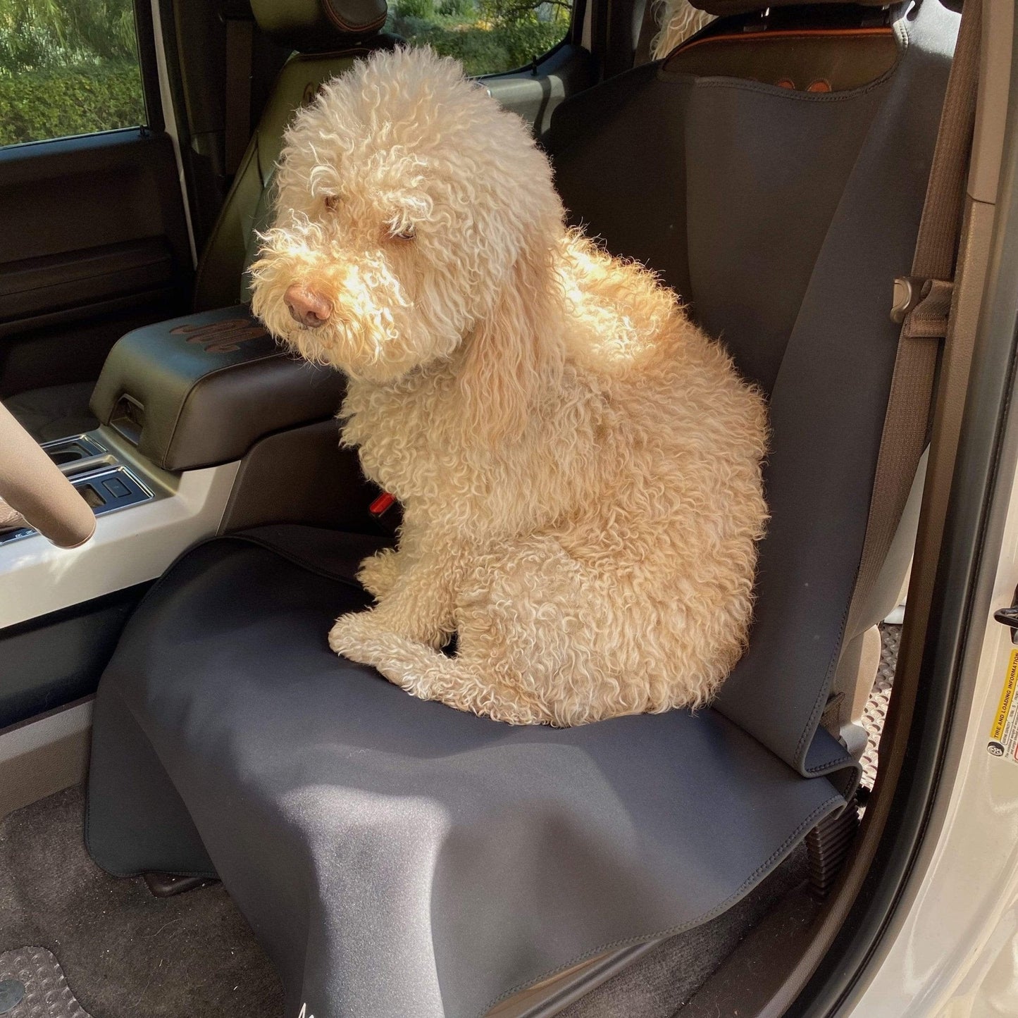 Malo'o SeatGuard Non-Slip Waterproof Car Seat Cover (2 Pack)