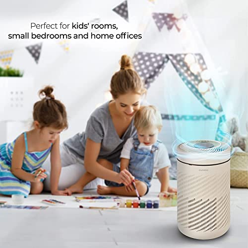 Refurbished B grade H13 True HEPA Air Purifier (CAC-AB0610FI)