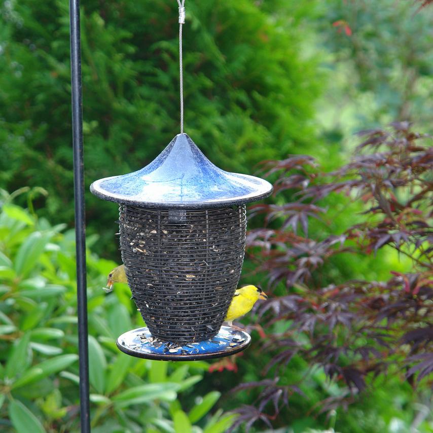 Pagoda Bird Feeder