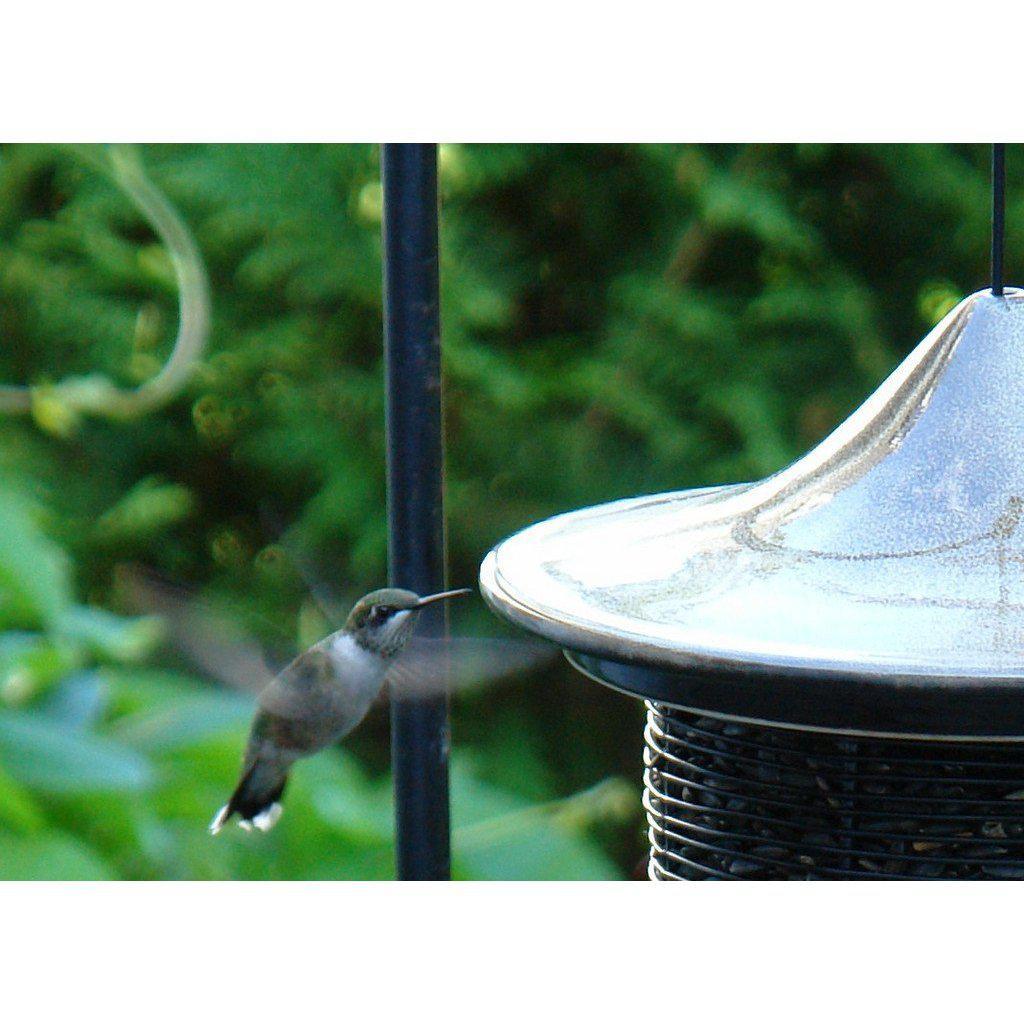 Pagoda Bird Feeder