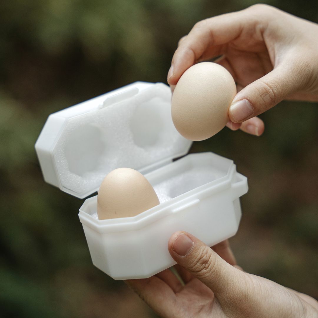 Petrel Egg Storage Box