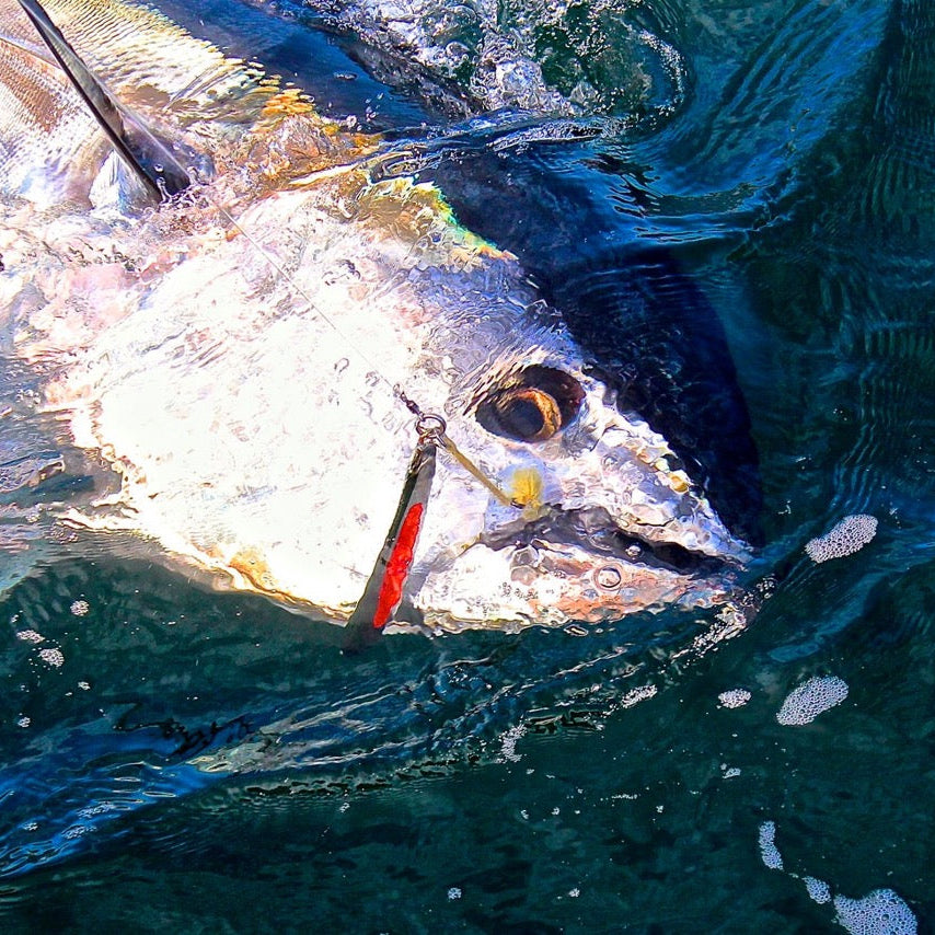 Point Jude Lures - Deep Force Jig