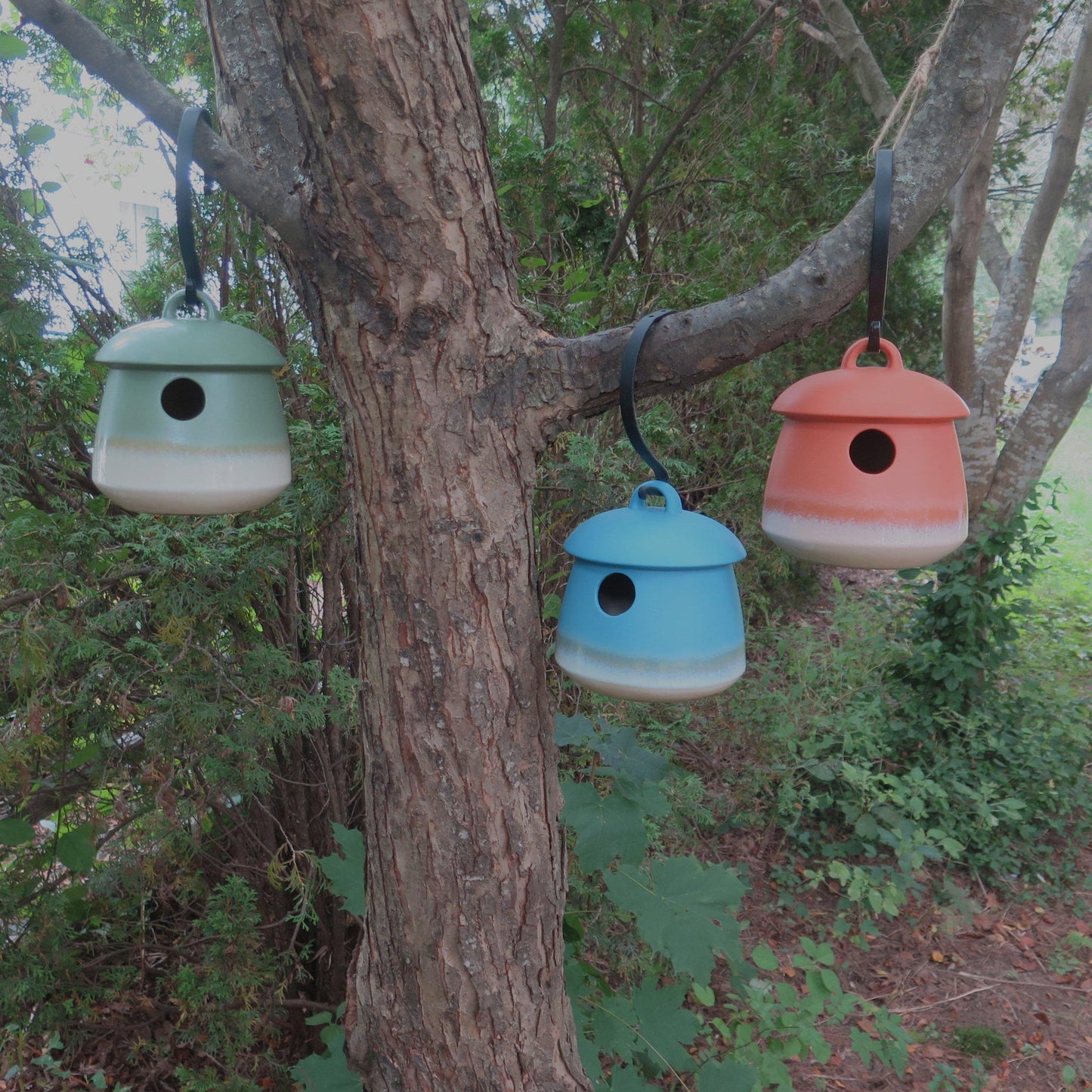 Return Bird Home -- Outlet Stock