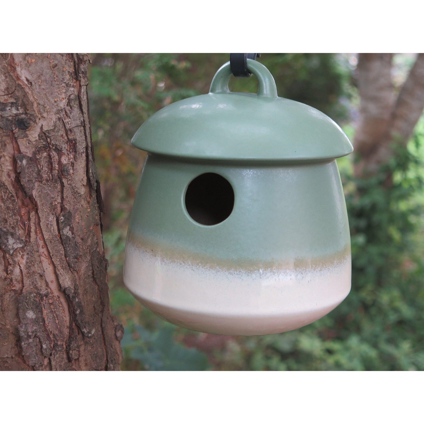 Return Bird Home -- Outlet Stock