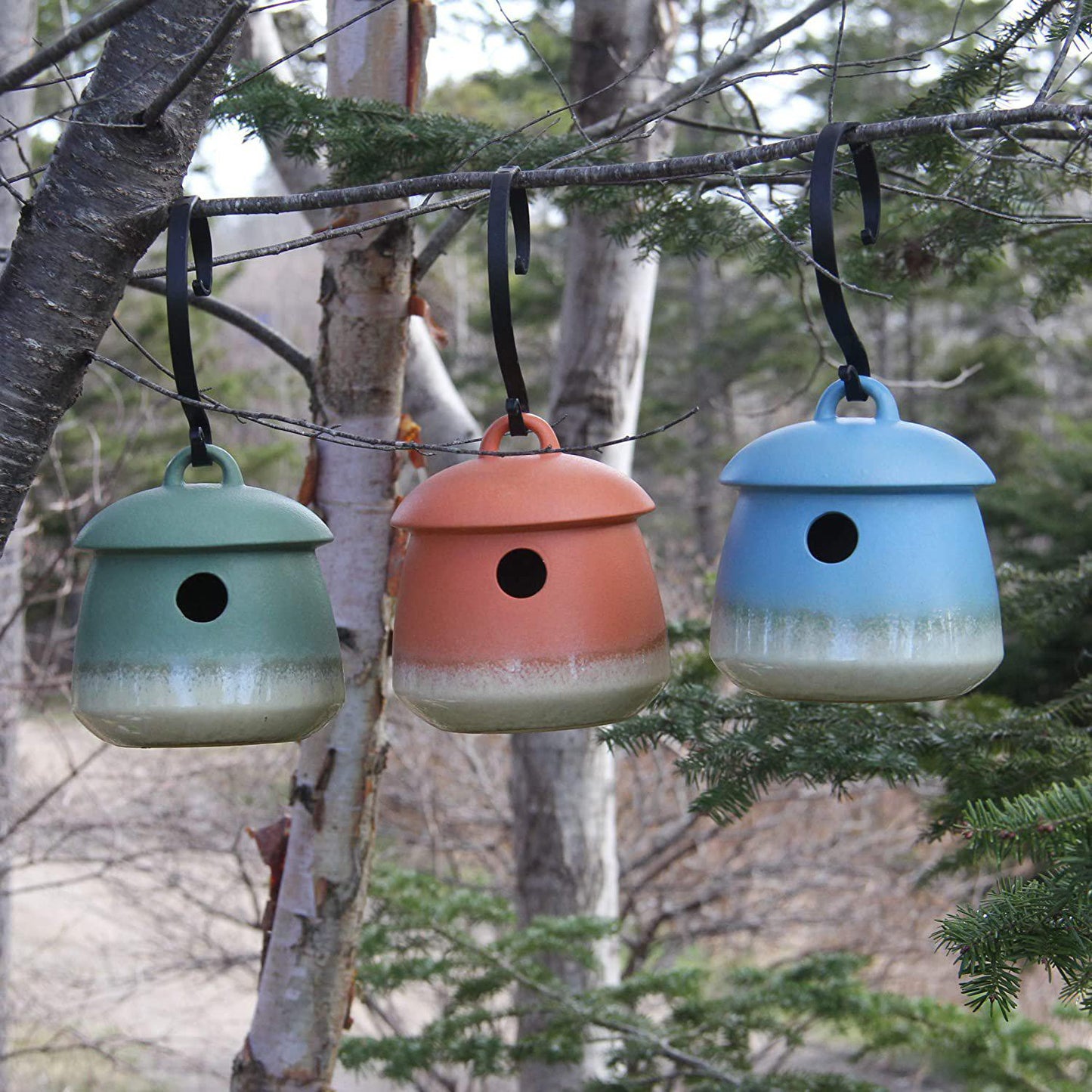 Return Bird Home -- Outlet Stock