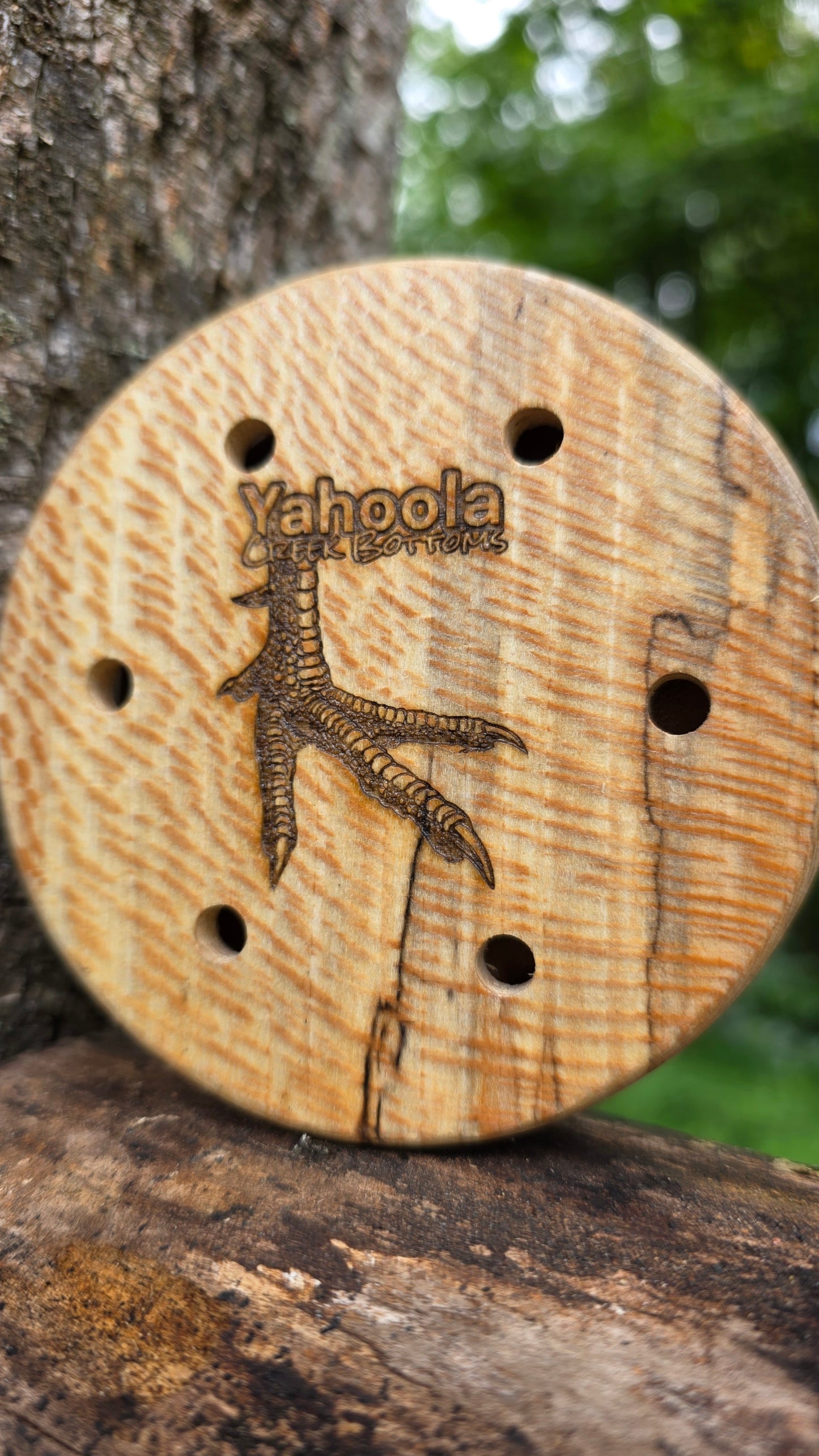 3.5" Spalted Sycamore
