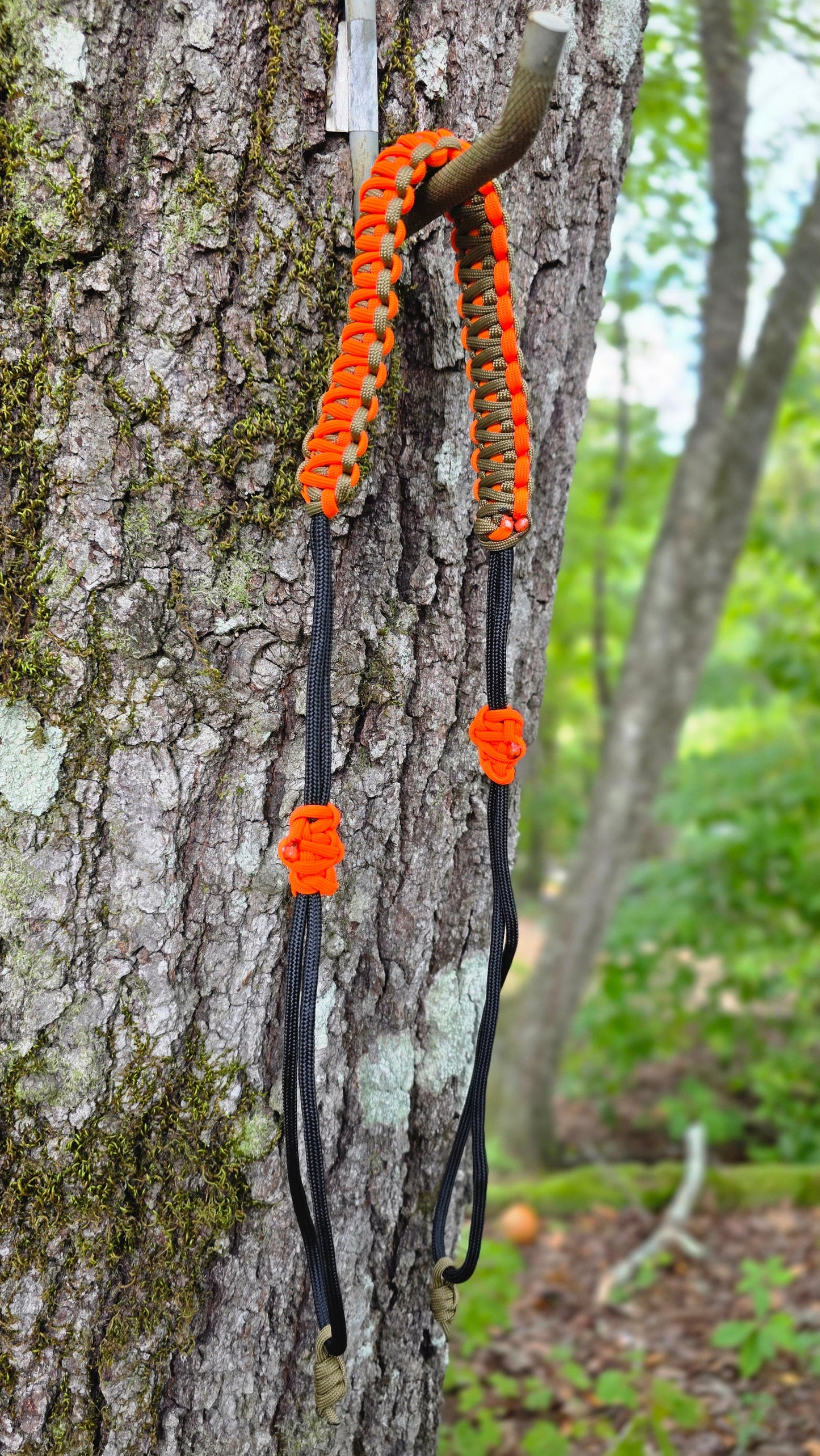 Turkey Tote (Orange, Green, Black)