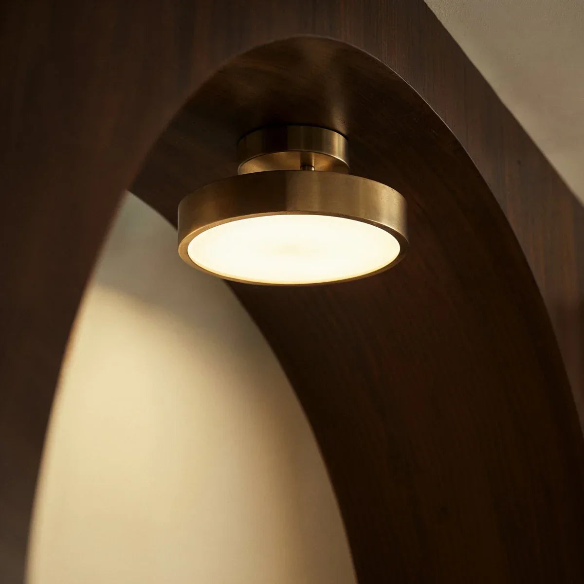 Modern Iron Flush Mount Ceiling Light LED Light With Wide Voltage Compatibility