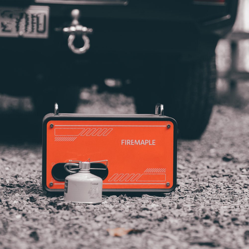 Source Gas Generator