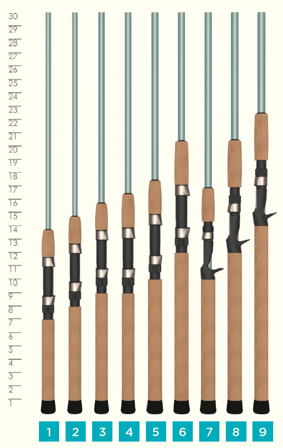 St. Croix - Avid (VIS) Series Inshore Spinning Rods