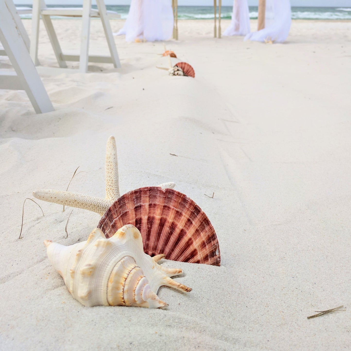 Starfish & Seashell Aisle Markers