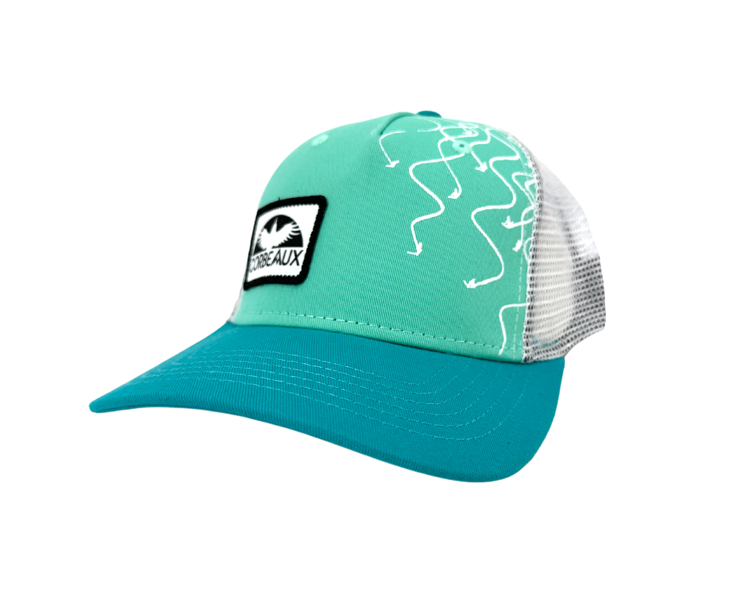 Tracks Curved Brim Hat