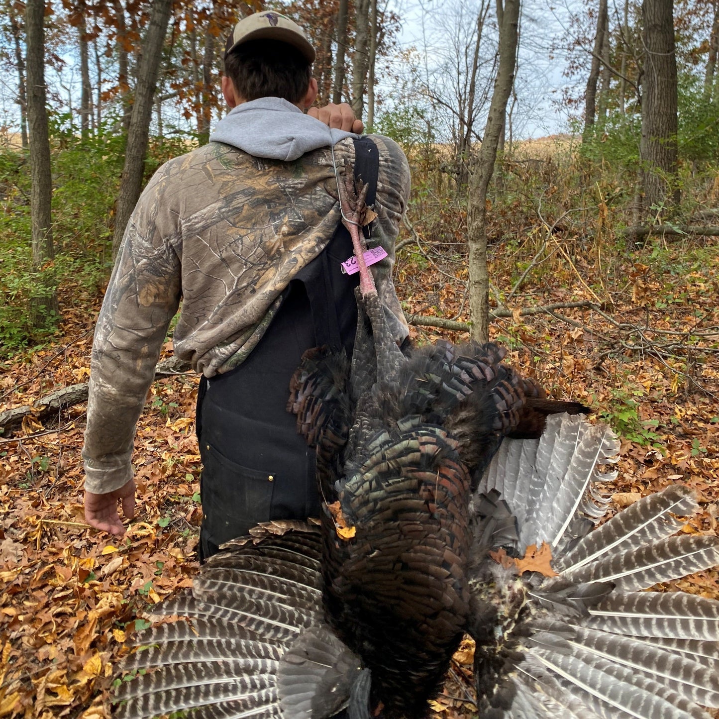 Turkey Cuff