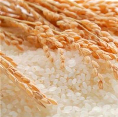 Hydrolysed Rice Protein Liquid Water Soluble (Protein 20%)
